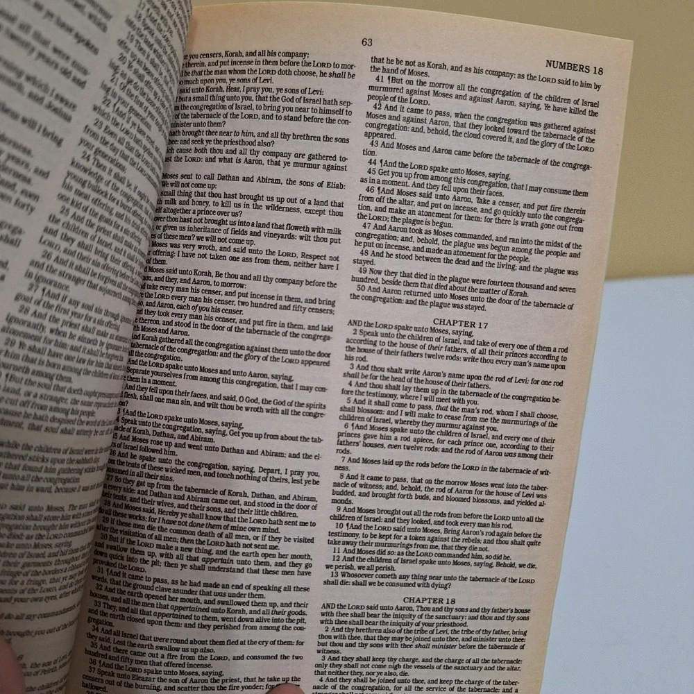 Holy Bible Paperback King James‎ Version By Paradise Press, Inc.